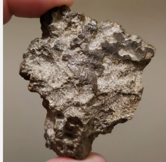 Screenshot_20210329-011349~2