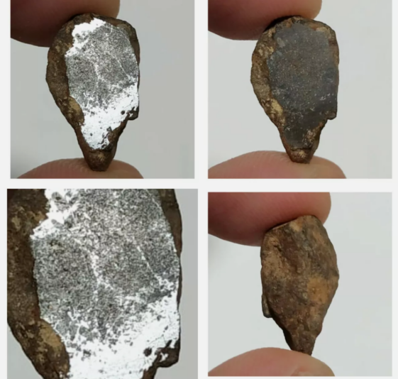 Screenshot_20210329-004805~2